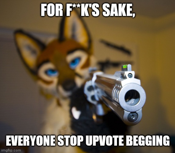 Furry with gun | FOR F**K'S SAKE, EVERYONE STOP UPVOTE BEGGING | image tagged in furry with gun | made w/ Imgflip meme maker