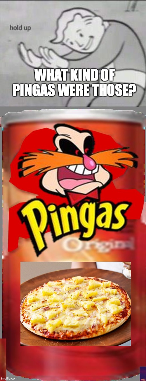 WHAT KIND OF PINGAS WERE THOSE? | image tagged in fallout hold up,pingas chips | made w/ Imgflip meme maker