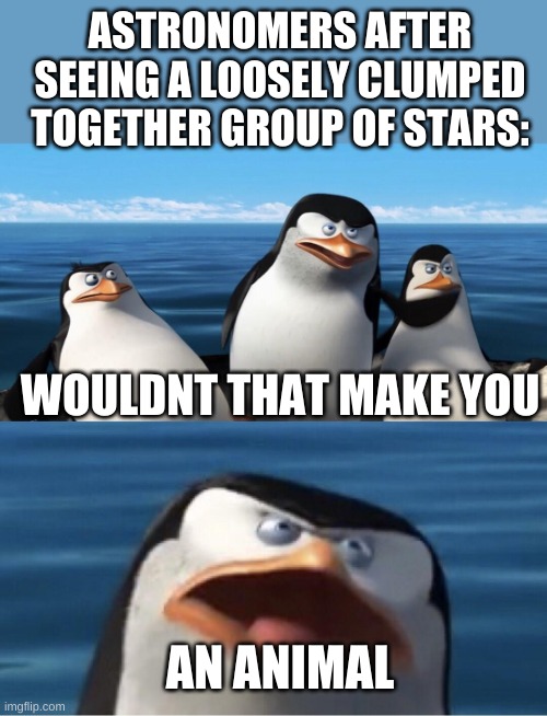 Orion is a shoulder and a belt | ASTRONOMERS AFTER SEEING A LOOSELY CLUMPED TOGETHER GROUP OF STARS:; WOULDNT THAT MAKE YOU; AN ANIMAL | image tagged in wouldn't that make you | made w/ Imgflip meme maker