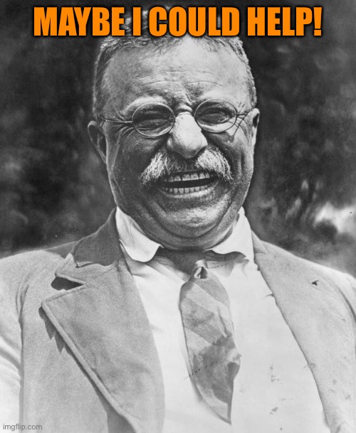 Teddy Roosevelt | MAYBE I COULD HELP! | image tagged in teddy roosevelt | made w/ Imgflip meme maker