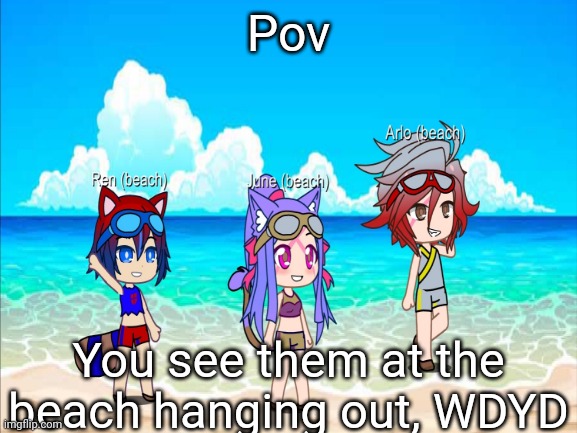 Pov; You see them at the beach hanging out, WDYD | image tagged in pov,congratulations you are reading the tags | made w/ Imgflip meme maker