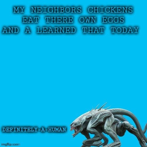 MY NEIGHBORS CHICKENS EAT THERE OWN EGGS AND A LEARNED THAT TODAY | image tagged in definitely-a-human's template | made w/ Imgflip meme maker
