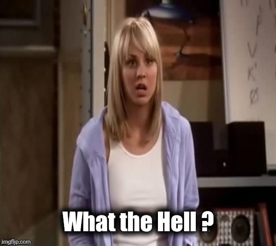 Confused Penny | What the Hell ? | image tagged in confused penny | made w/ Imgflip meme maker