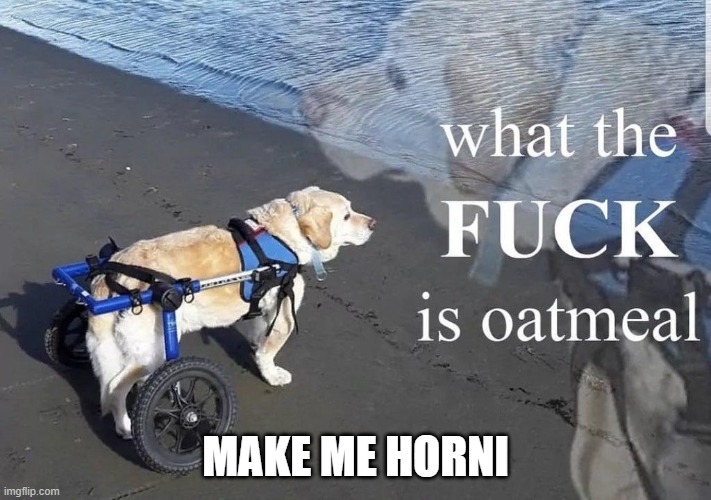 What the f**k is oatmeal | MAKE ME HORNI | image tagged in what the f k is oatmeal | made w/ Imgflip meme maker