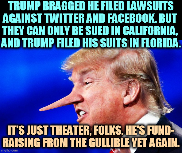 Don't send money. He's scamming again. | TRUMP BRAGGED HE FILED LAWSUITS AGAINST TWITTER AND FACEBOOK. BUT 
THEY CAN ONLY BE SUED IN CALIFORNIA, 
AND TRUMP FILED HIS SUITS IN FLORIDA. IT'S JUST THEATER, FOLKS. HE'S FUND-
RAISING FROM THE GULLIBLE YET AGAIN. | image tagged in trump congenital pathological liar pinocchio nose,trump,lawsuit,twitter,facebook,scam | made w/ Imgflip meme maker