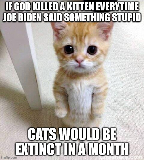 Biden Hates Kittens | IF GOD KILLED A KITTEN EVERYTIME JOE BIDEN SAID SOMETHING STUPID; CATS WOULD BE EXTINCT IN A MONTH | image tagged in memes,cute cat | made w/ Imgflip meme maker