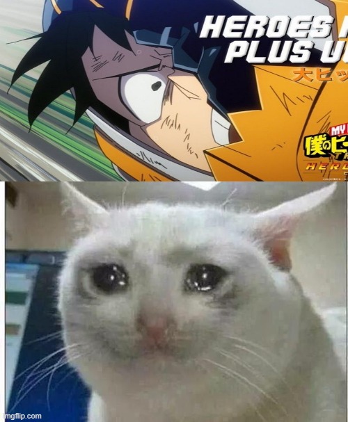 crying cat | image tagged in crying cat,my hero academia | made w/ Imgflip meme maker