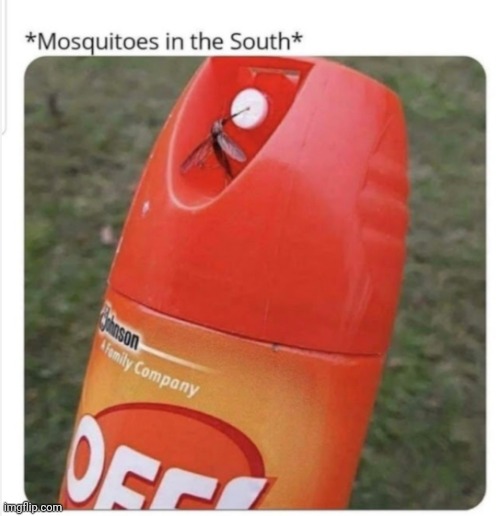 Not mine | image tagged in funny memes | made w/ Imgflip meme maker