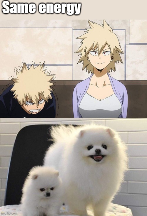 Same energy | image tagged in my hero academia | made w/ Imgflip meme maker