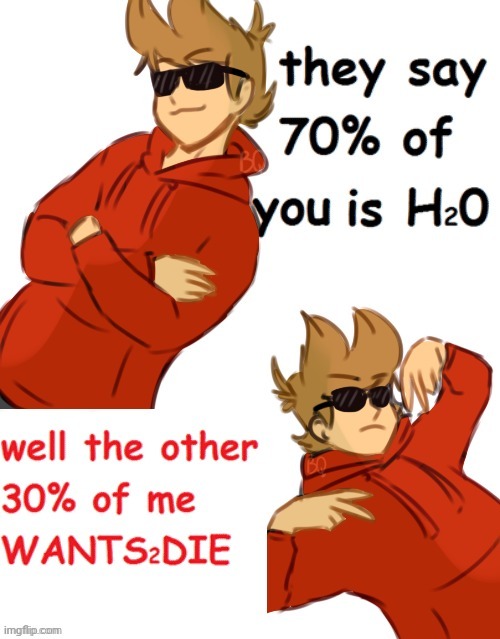 70% of you is H²0 | image tagged in tord temp 2 | made w/ Imgflip meme maker