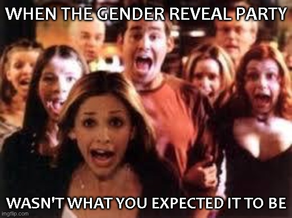 Gender Reveal Parties |  WHEN THE GENDER REVEAL PARTY; WASN'T WHAT YOU EXPECTED IT TO BE | image tagged in buffy,beware,gender reveal,adults | made w/ Imgflip meme maker