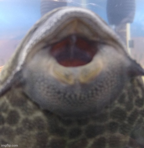 No context | made w/ Imgflip meme maker