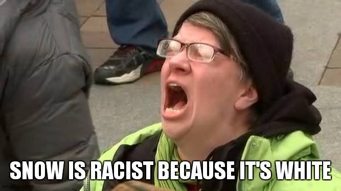 Screaming Trump Protester at Inauguration | SNOW IS RACIST BECAUSE IT'S WHITE | image tagged in screaming trump protester at inauguration | made w/ Imgflip meme maker