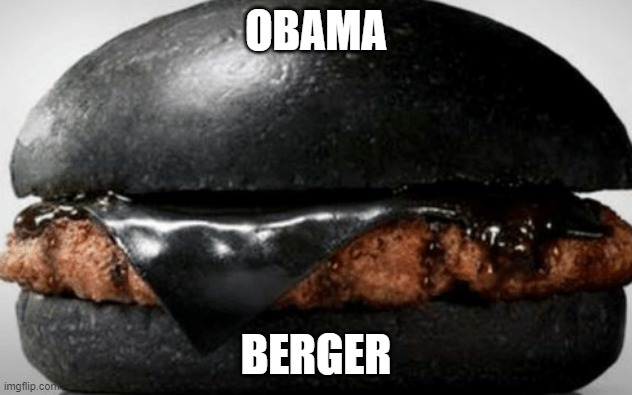 obama hemburger | OBAMA; BERGER | image tagged in obama | made w/ Imgflip meme maker