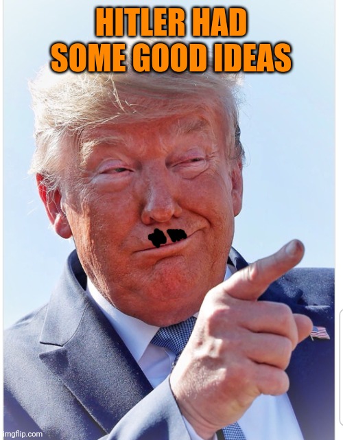 Trump pointing | HITLER HAD SOME GOOD IDEAS | image tagged in trump pointing | made w/ Imgflip meme maker