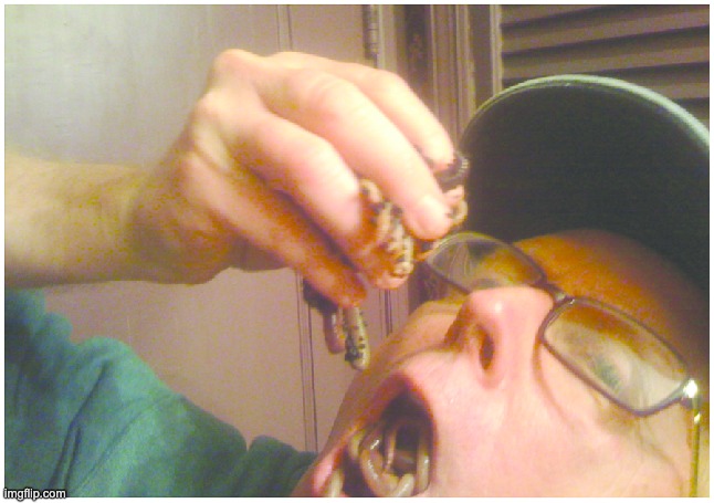 WHY DO I DO THIS TO MYSELF | made w/ Imgflip meme maker