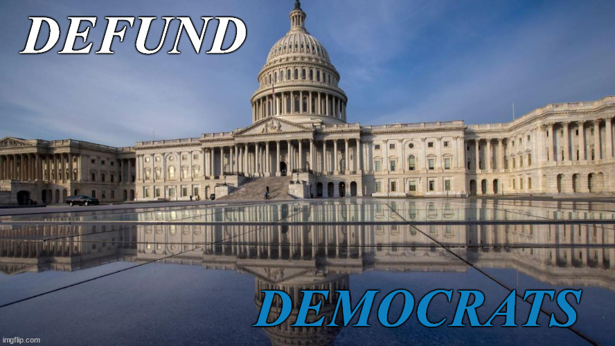 Defund The Government | DEFUND; DEMOCRATS | image tagged in defund the government | made w/ Imgflip meme maker