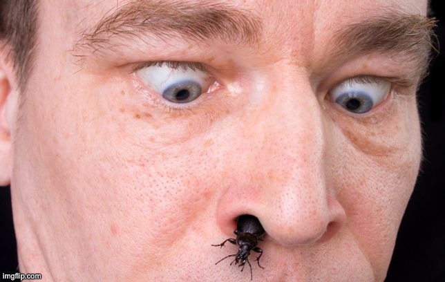 IN THE NAME OF OUR LORD WHY | made w/ Imgflip meme maker