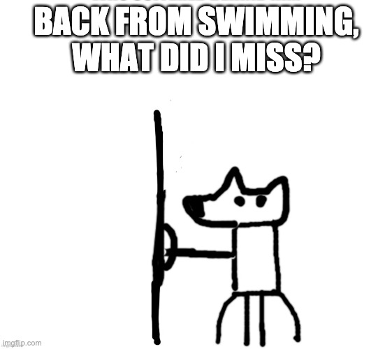 shield yoda | BACK FROM SWIMMING, WHAT DID I MISS? | image tagged in shield yoda | made w/ Imgflip meme maker