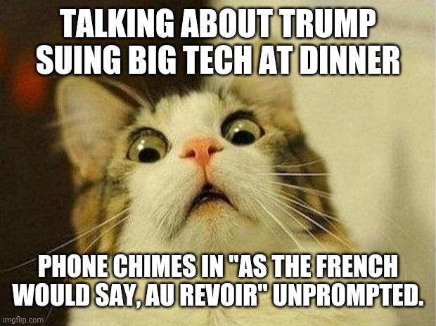 Scared Cat | TALKING ABOUT TRUMP SUING BIG TECH AT DINNER; PHONE CHIMES IN "AS THE FRENCH WOULD SAY, AU REVOIR" UNPROMPTED. | image tagged in memes,scared cat,AdviceAnimals | made w/ Imgflip meme maker