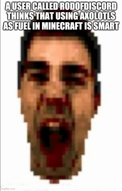 Spam the shit out of him. | A USER CALLED RODOFDISCORD THINKS THAT USING AXOLOTLS AS FUEL IN MINECRAFT IS SMART | image tagged in ralphis' head | made w/ Imgflip meme maker