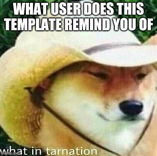 What in tarnation dog | WHAT USER DOES THIS TEMPLATE REMIND YOU OF | image tagged in what in tarnation dog | made w/ Imgflip meme maker