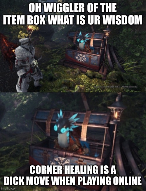 FIRST MEME OF MONSTER HUNTER WEEK | OH WIGGLER OF THE ITEM BOX WHAT IS UR WISDOM; CORNER HEALING IS A DICK MOVE WHEN PLAYING ONLINE | image tagged in wiggler of the item box | made w/ Imgflip meme maker