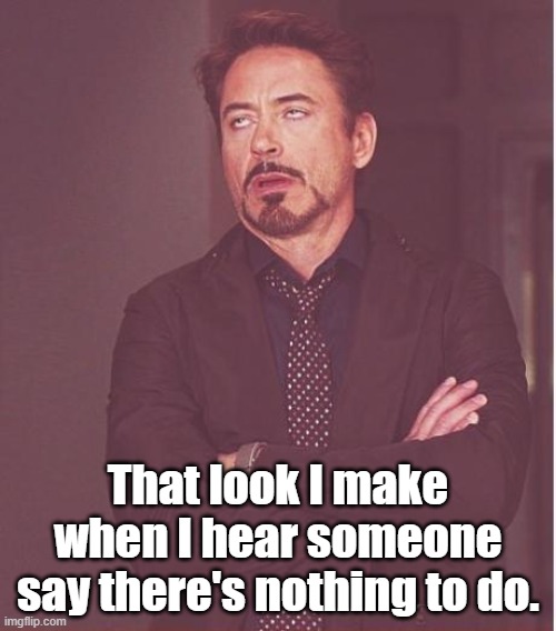 There's Nothing To Do | That look I make when I hear someone say there's nothing to do. | image tagged in memes,face you make robert downey jr | made w/ Imgflip meme maker