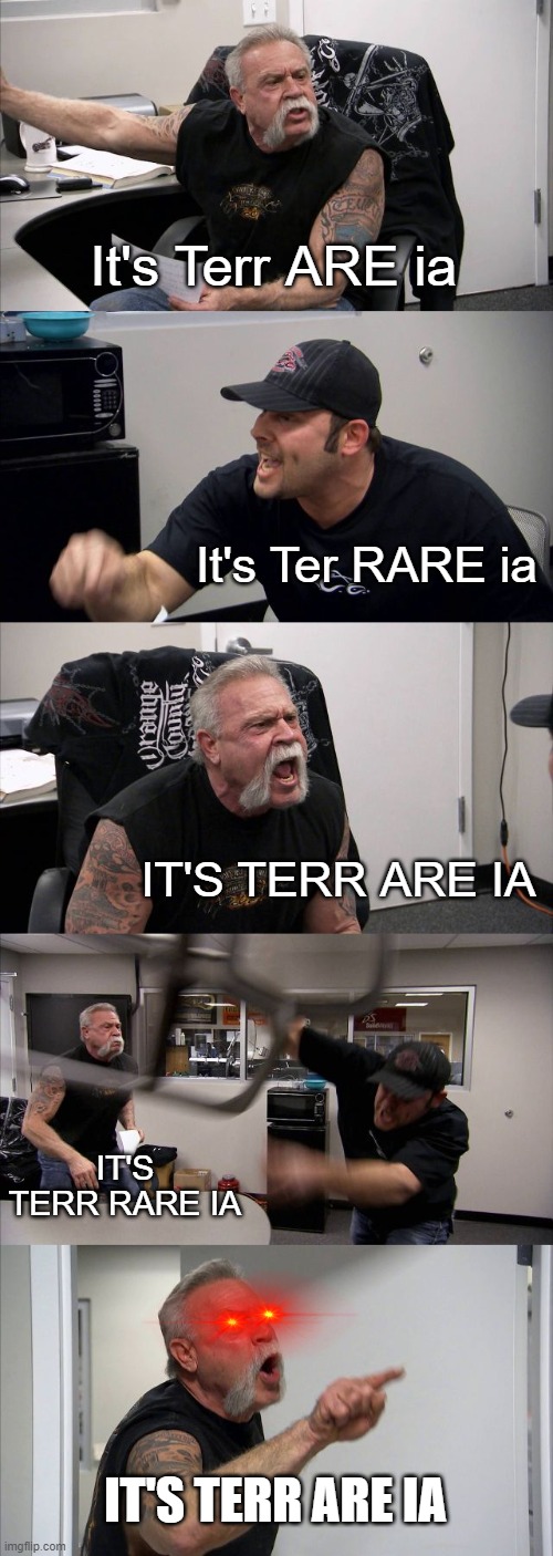 no srsly its terr are ia | It's Terr ARE ia; It's Ter RARE ia; IT'S TERR ARE IA; IT'S TERR RARE IA; IT'S TERR ARE IA | image tagged in memes,american chopper argument,terraria,so true memes | made w/ Imgflip meme maker