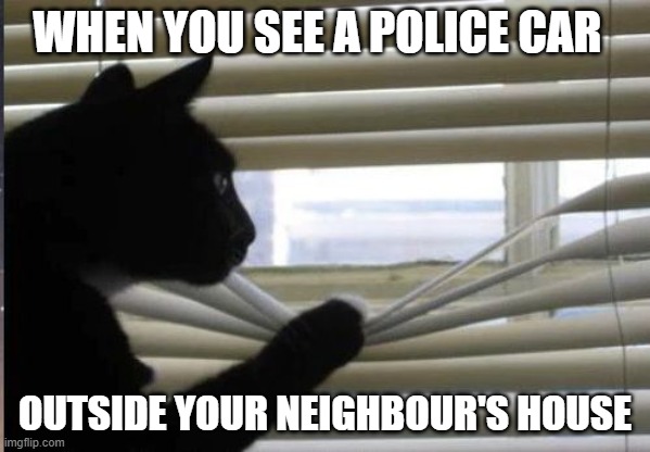 cat looking through window | WHEN YOU SEE A POLICE CAR; OUTSIDE YOUR NEIGHBOUR'S HOUSE | image tagged in cat looking through window | made w/ Imgflip meme maker