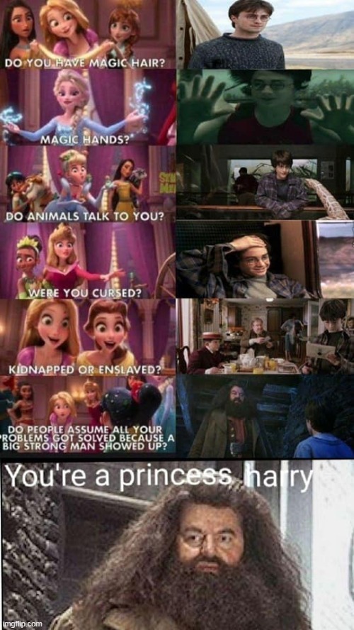 Never thought harry potter is a princess | image tagged in harry potter | made w/ Imgflip meme maker