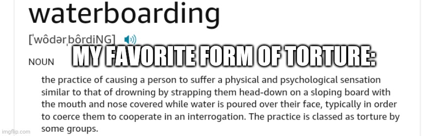 MY FAVORITE FORM OF TORTURE: | image tagged in waterboarding | made w/ Imgflip meme maker