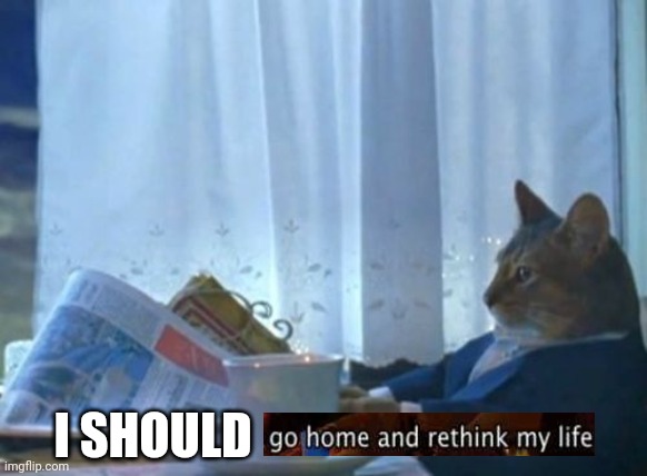 I Should Buy A Boat Cat | I SHOULD | image tagged in memes,i should buy a boat cat | made w/ Imgflip meme maker