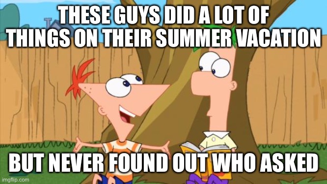 E | THESE GUYS DID A LOT OF THINGS ON THEIR SUMMER VACATION; BUT NEVER FOUND OUT WHO ASKED | image tagged in phineas ferb | made w/ Imgflip meme maker