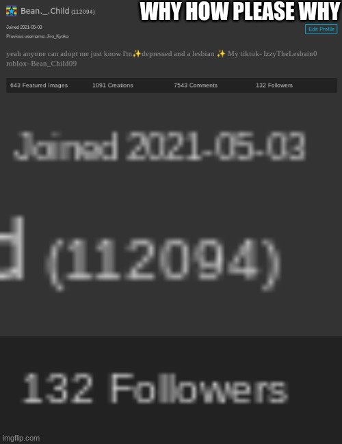 WHY HOW PLEASE WHY | made w/ Imgflip meme maker