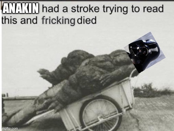 Godzilla had a stroke trying to read this and fricking died | ANAKIN | image tagged in godzilla had a stroke trying to read this and fricking died | made w/ Imgflip meme maker