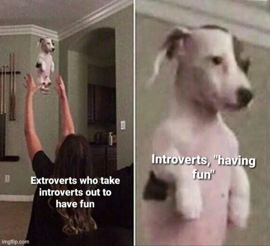 lol | image tagged in memes,introvert,extrovert | made w/ Imgflip meme maker
