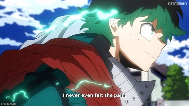 My Hero Academia Deku I never even felt the pain | image tagged in my hero academia deku i never even felt the pain | made w/ Imgflip meme maker