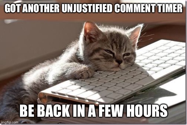 Screw you, corrupt site mod I won’t name so this doesn’t get taken down. | GOT ANOTHER UNJUSTIFIED COMMENT TIMER; BE BACK IN A FEW HOURS | made w/ Imgflip meme maker