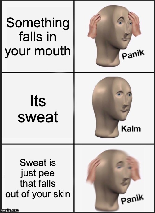 NANI!!!! | Something falls in your mouth; Its sweat; Sweat is just pee that falls out of your skin | image tagged in memes,panik kalm panik | made w/ Imgflip meme maker
