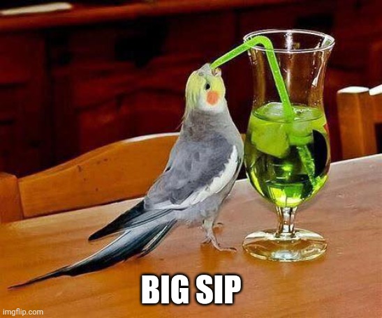 Big Sip | BIG SIP | image tagged in big sip | made w/ Imgflip meme maker