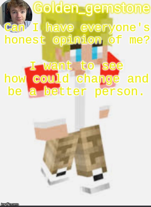 Can I have everyone's honest opinion of me? I want to see how could change and be a better person. | image tagged in golden's template not mine thank my friend | made w/ Imgflip meme maker