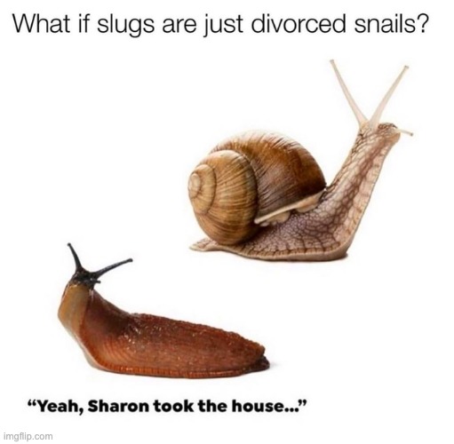 bruh | image tagged in snail,memes,repost | made w/ Imgflip meme maker