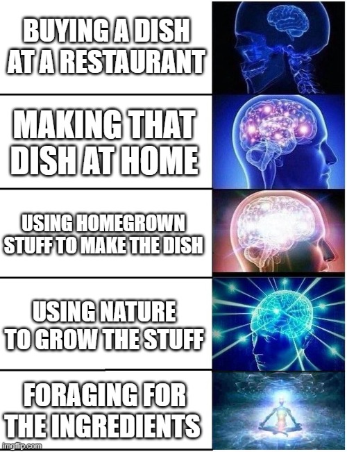 Food | BUYING A DISH AT A RESTAURANT; MAKING THAT DISH AT HOME; USING HOMEGROWN STUFF TO MAKE THE DISH; USING NATURE TO GROW THE STUFF; FORAGING FOR THE INGREDIENTS | image tagged in expanding brain 5 panel | made w/ Imgflip meme maker
