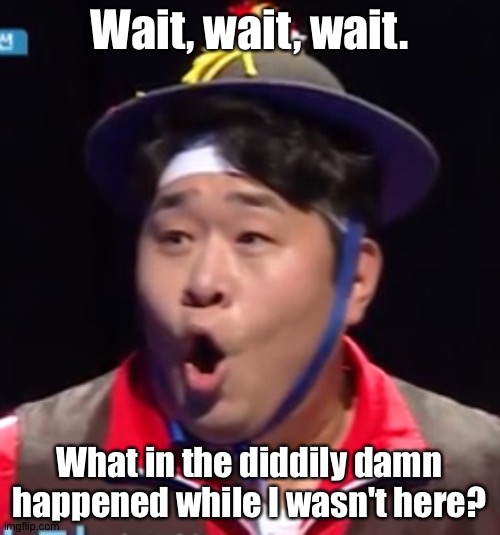Can anyone actually explain | Wait, wait, wait. What in the diddily damn happened while I wasn't here? | image tagged in pogging seyoon higher quality | made w/ Imgflip meme maker