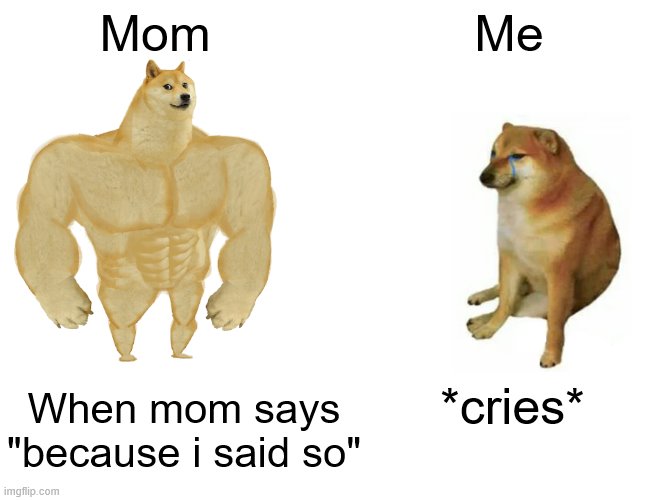Sad :( | Mom; Me; When mom says "because i said so"; *cries* | image tagged in memes,buff doge vs cheems | made w/ Imgflip meme maker