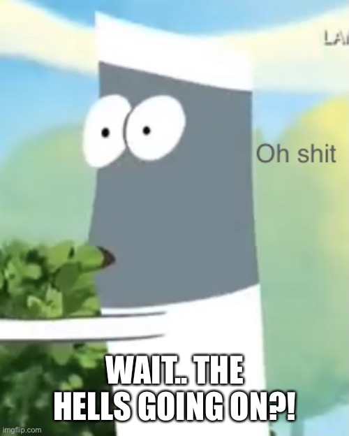 Skinny oh shit | WAIT.. THE HELLS GOING ON?! | image tagged in skinny oh shit | made w/ Imgflip meme maker