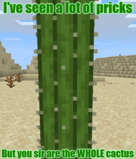I've seen a lot of pricks but you sir are the whole cactus Blank Meme Template