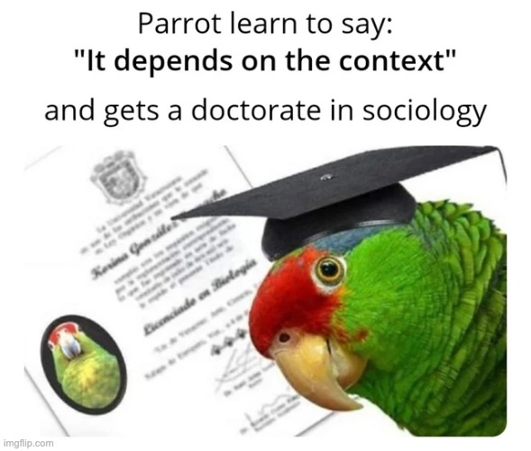 p a r r o t | image tagged in parrot,memes | made w/ Imgflip meme maker