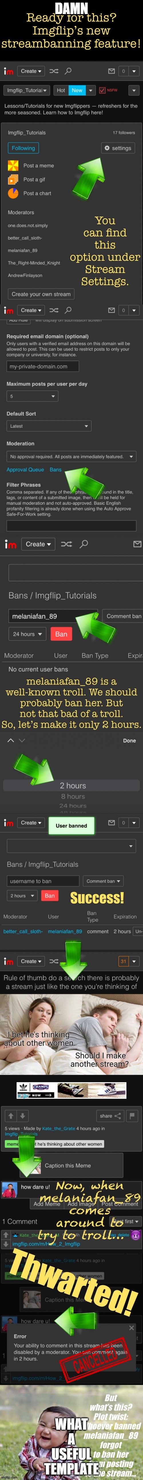 Longest meme I made | DAMN; WHAT A USEFUL TEMPLATE | image tagged in streambanning | made w/ Imgflip meme maker
